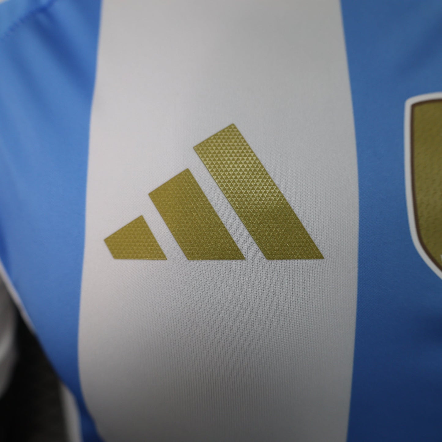 Argentina 2024-2025 Home Kit