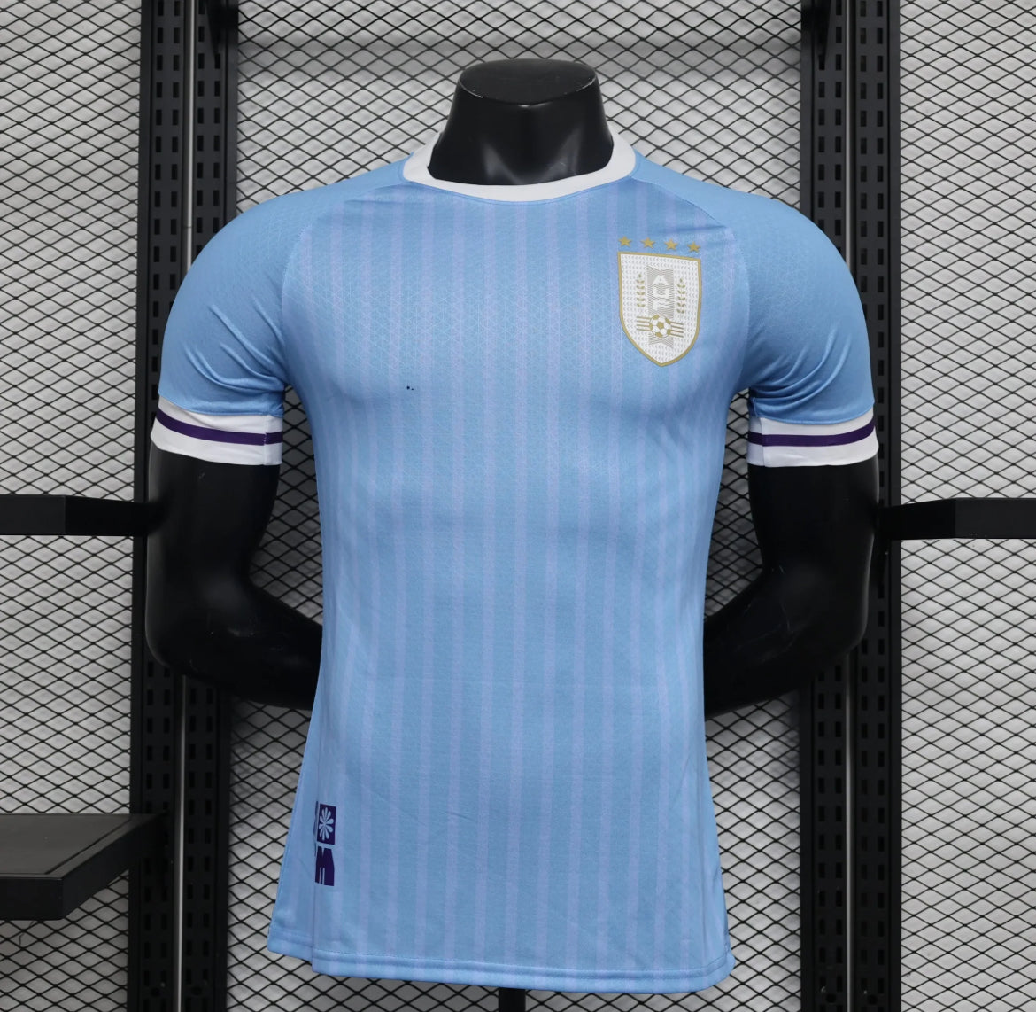 Uruguay 2024-2025 Home Kit