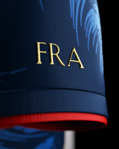 France "Les Bleus" Special Kit