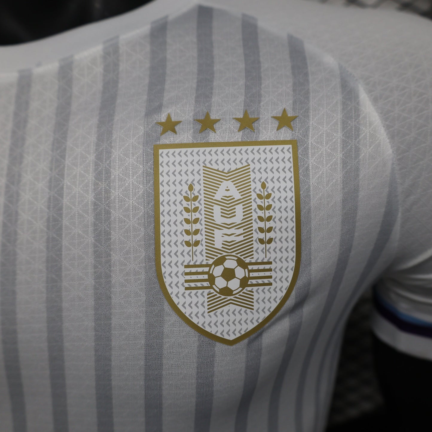 Uruguay 2024-2025 Away Kit