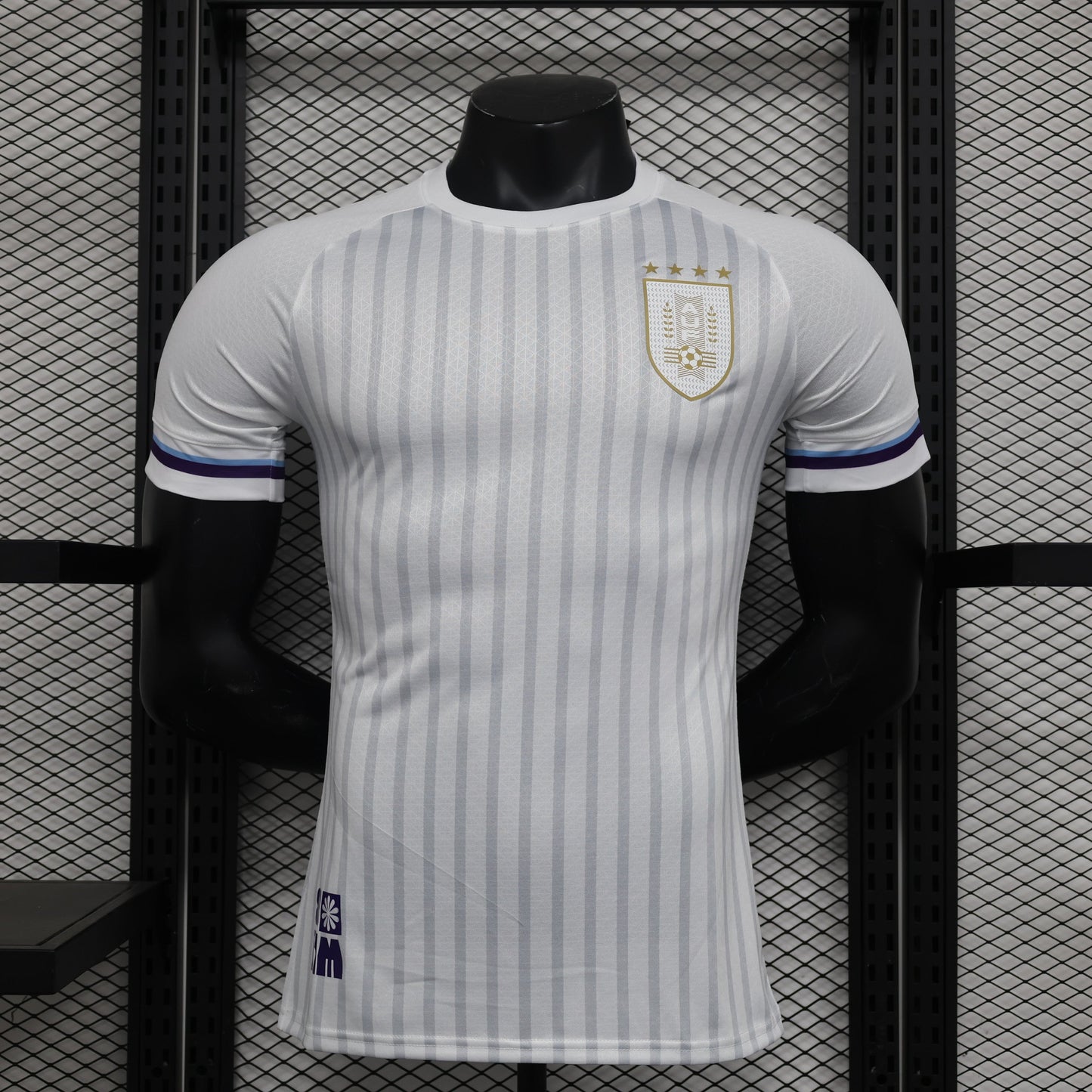 Uruguay 2024-2025 Away Kit