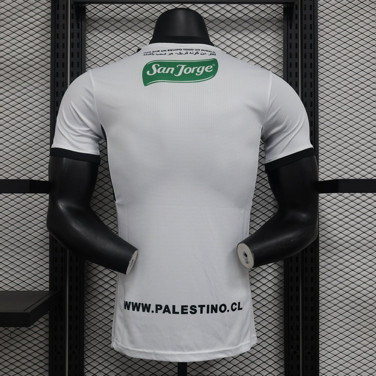 Palestine 2024-2025 Away Kit