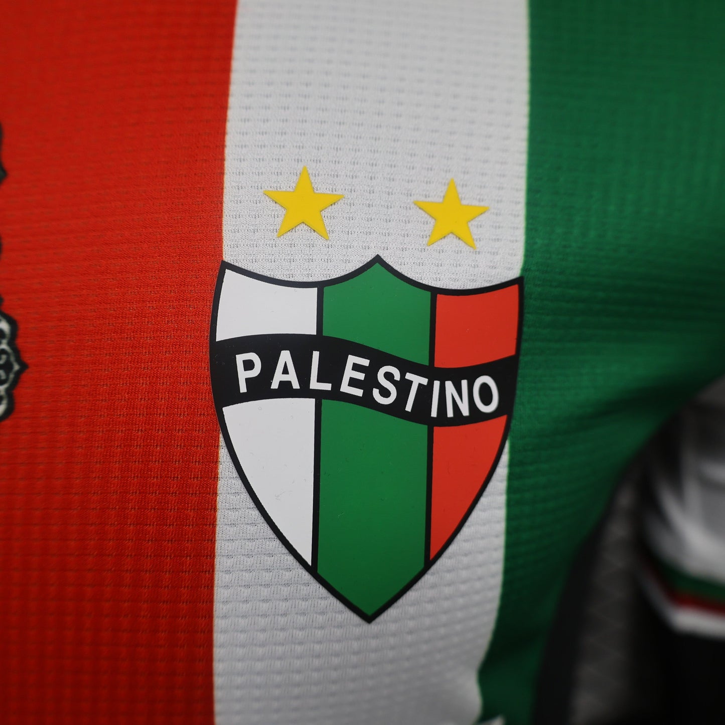 Palestine 2024-2025 Third Kit