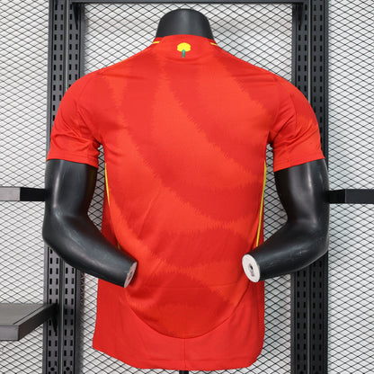 Spain 2024-2025 Home Kit