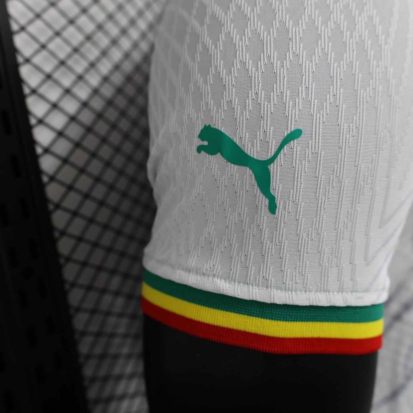 Senegal "Lion's Pride" Special Kit