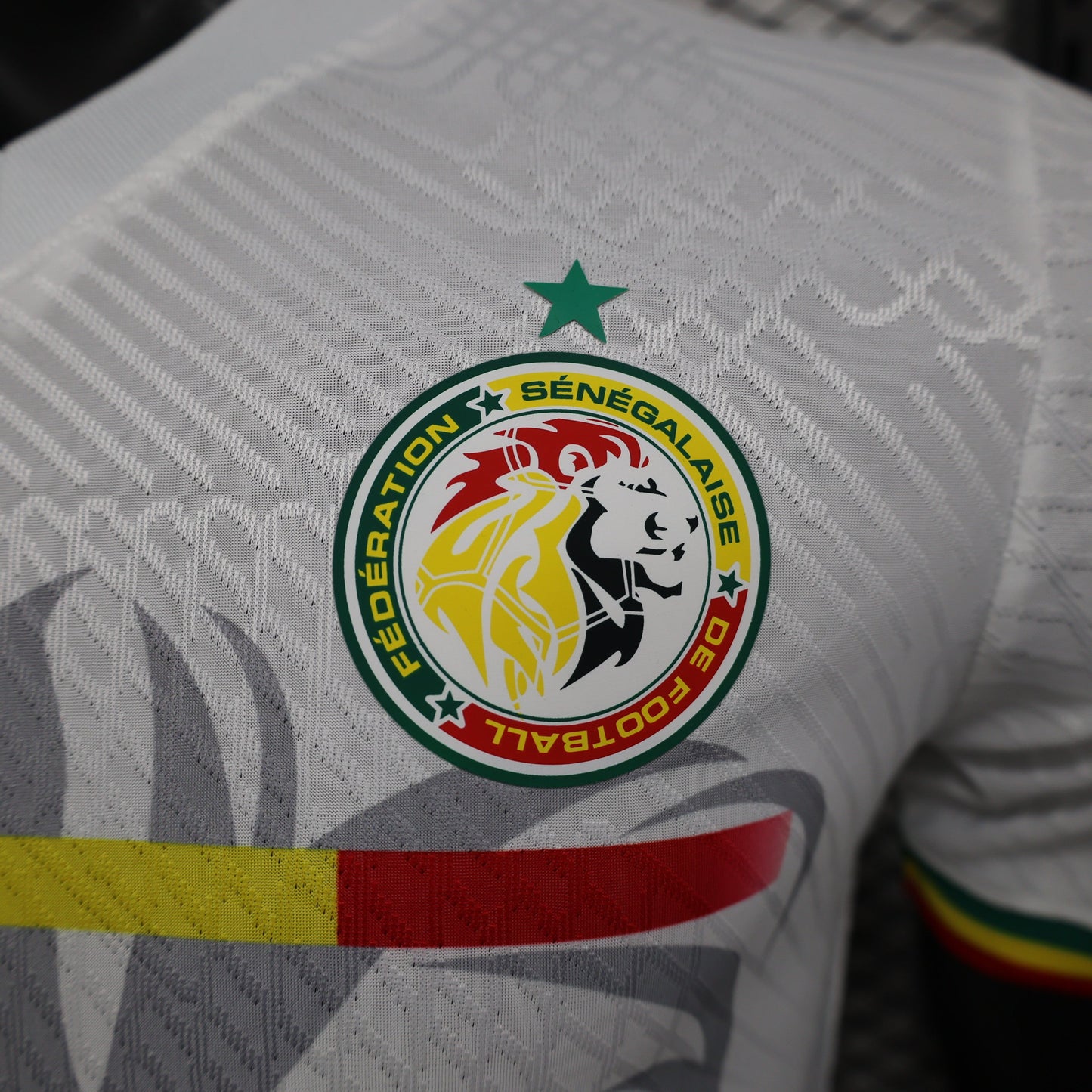 Senegal "Lion's Pride" Special Kit