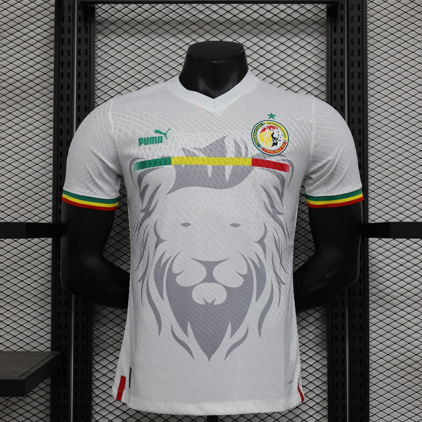 Senegal "Lion's Pride" Special Kit