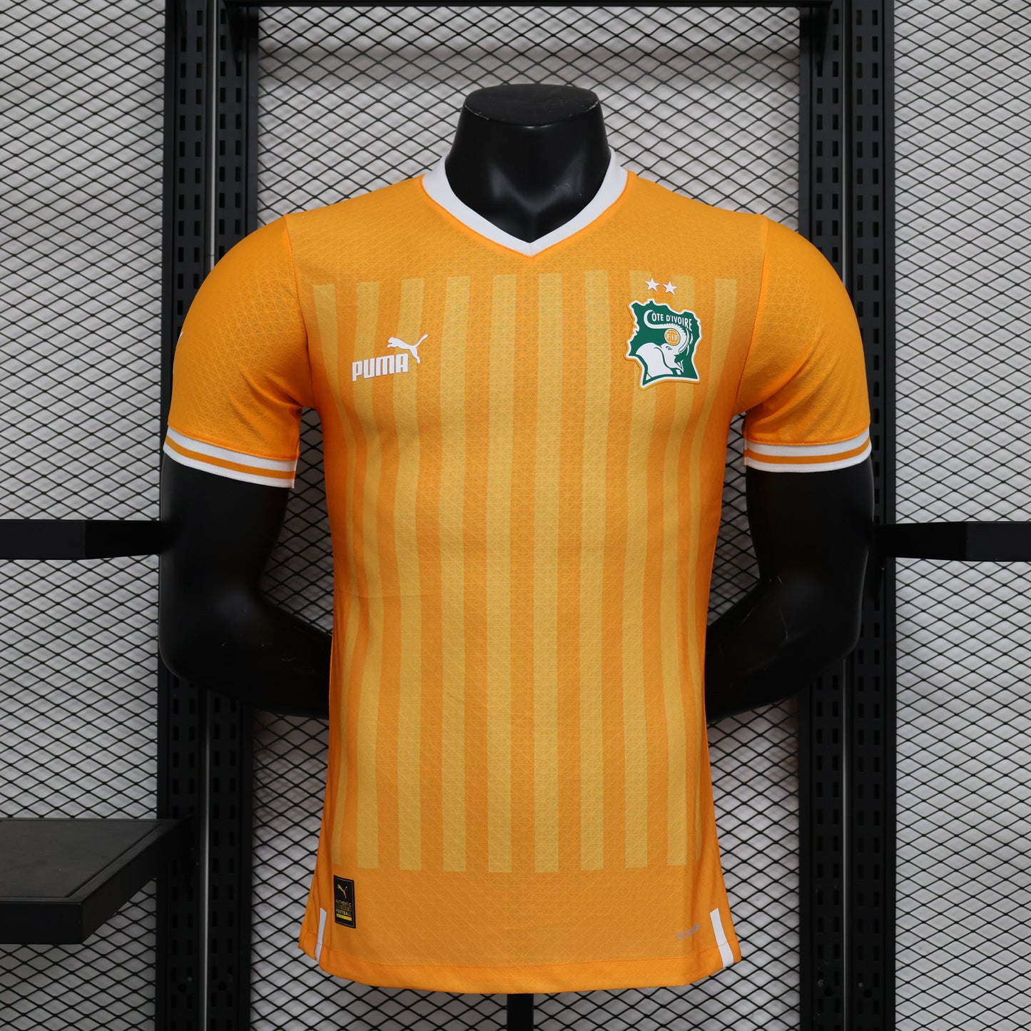 Ivory Coast 2022-2023 Home Kit